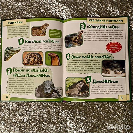 Детская энциклопедия 