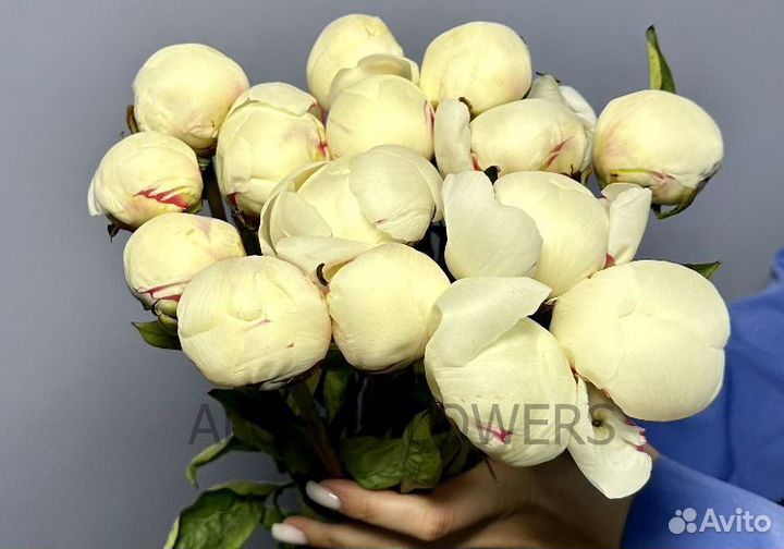 Букет из пионов