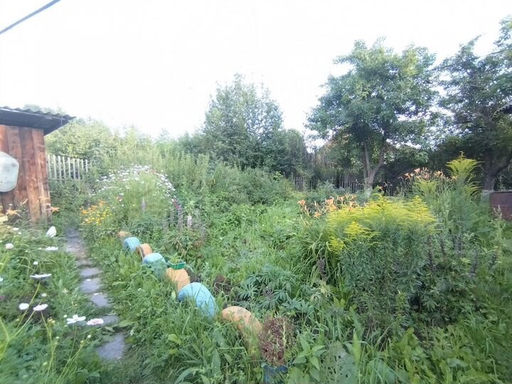 Дом 35,6 м² на участке 12 сот.