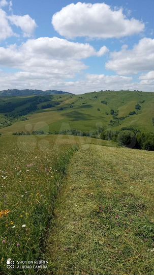 Участок 100 сот. (СНТ, ДНП)