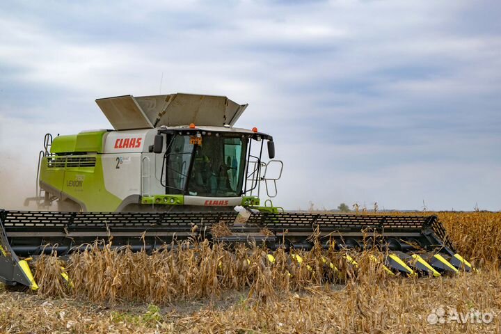 Жатка Olimac Drago Gold, 2023