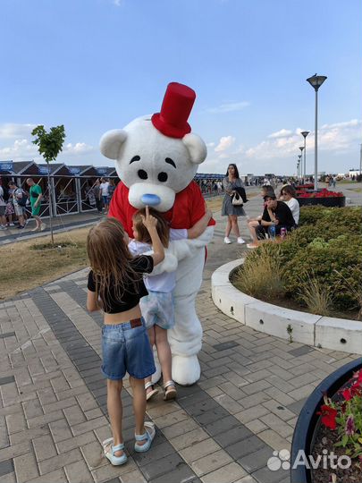 Белый мишка поздравление, Аниматор, Ростовая Кукла
