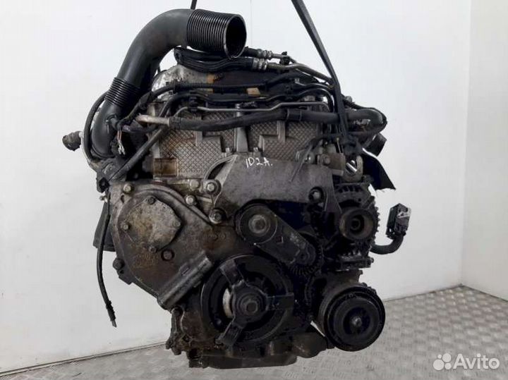 Двигатель Opel Signum (2003 - 2008) 2.0 Z20NET 112