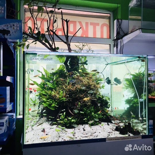 Аквариумный салон 