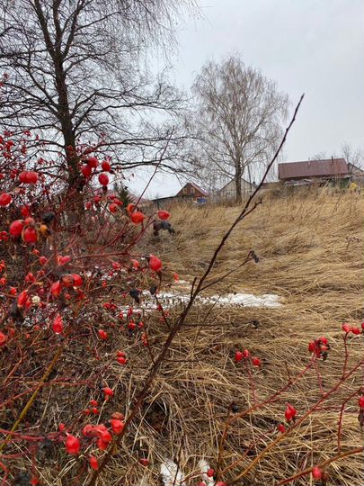 Участок 19 сот. (ИЖС)