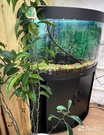 Аквариум 130 литров