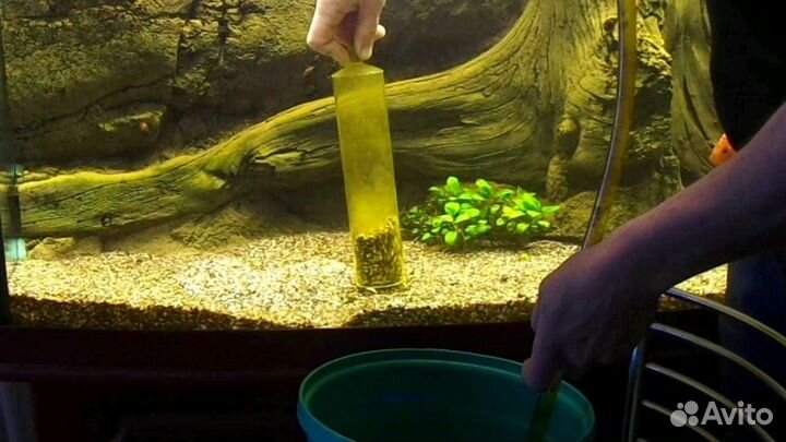 Чистка,обслуживание аквариумов Краснодар