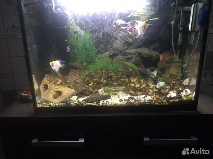 Аквариум