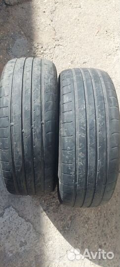 Windforce Catchfors UHP 195/55 R15 85V