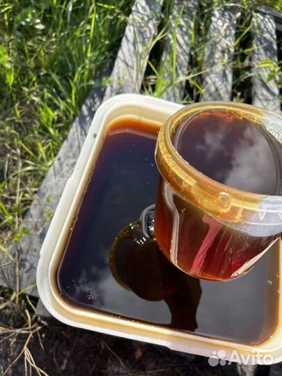 Мед Каштановый опт