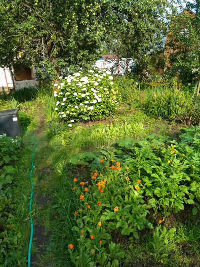 Дом 40 м² на участке 4 сот.