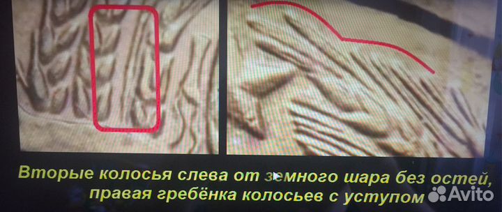 2 копейки СССР