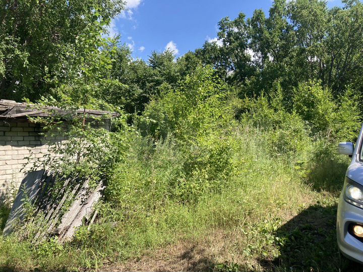 Участок 13 сот. (СНТ, ДНП)