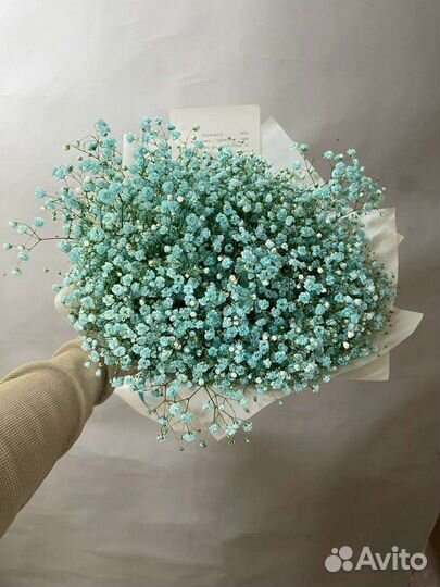 Гипсафилал Роза Букет Цветы Пионы