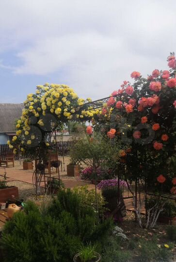 Комната 20 м², 1/2 эт.