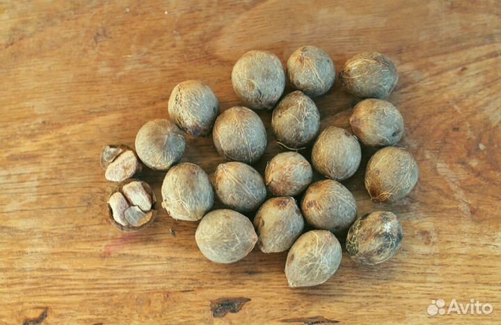 Бутия Головчатая семена