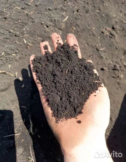 Чернозём