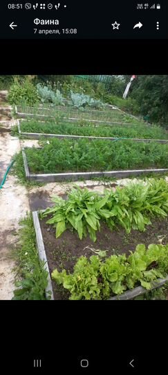 Дача 32 м² на участке 17 сот.