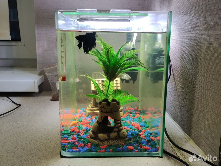 Аквариум