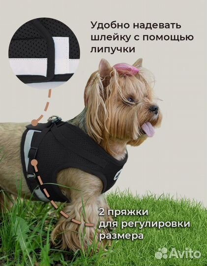 Шлейка для собак и кошек анатомическая MiloPets