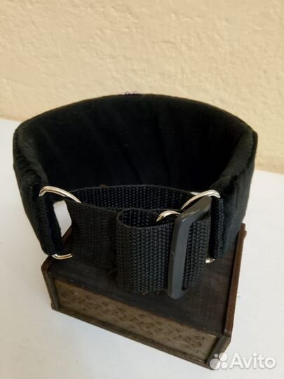 Ошейник селедка для собак