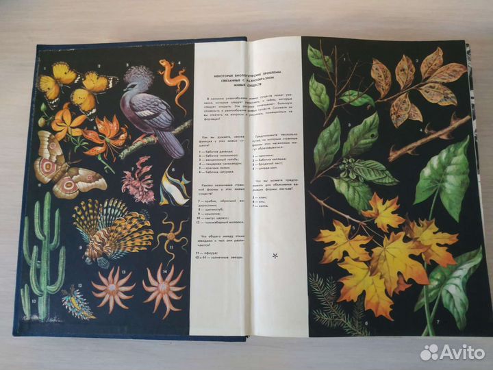 Книги СССР, формат А4, проекты судов, курорты