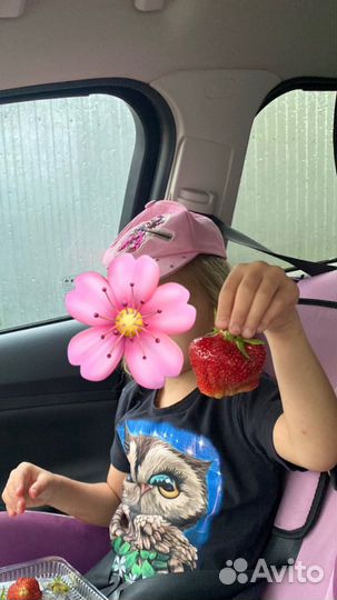 Клубника чамора туруси