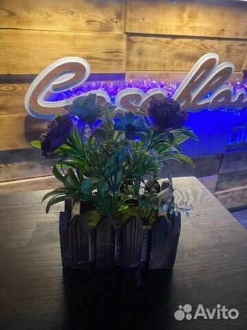 Декоративные цветы в горшке