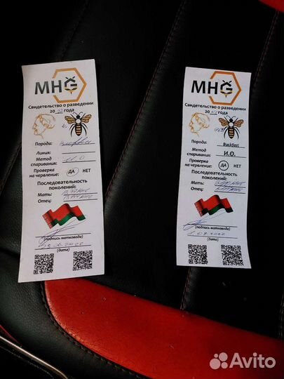 Отводки пчел