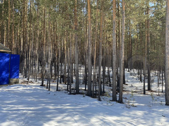 Участок 44 сот. (СНТ, ДНП)