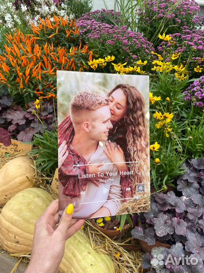 Эмоциональный подарок