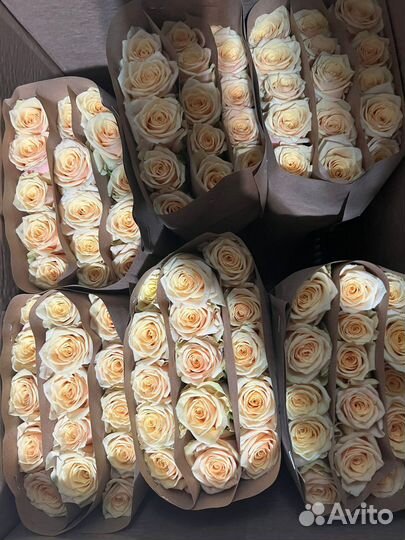 Свежие цветы роз от склада