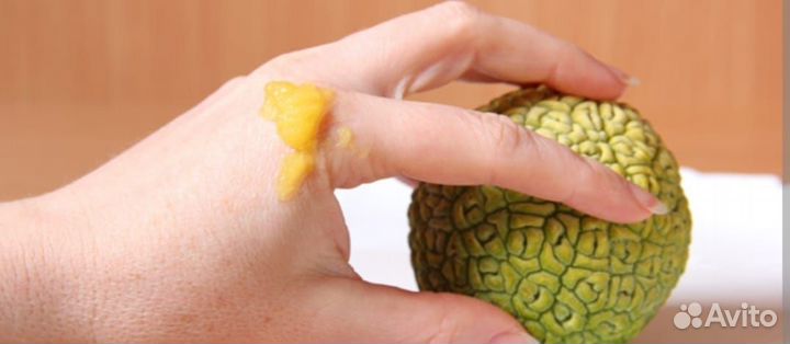 Крем от подагры