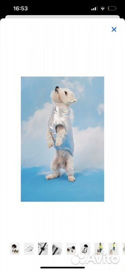 Куртка для собак мелких пород