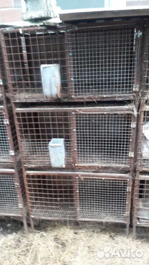 Клетка для кролика