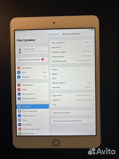 iPad mini 3