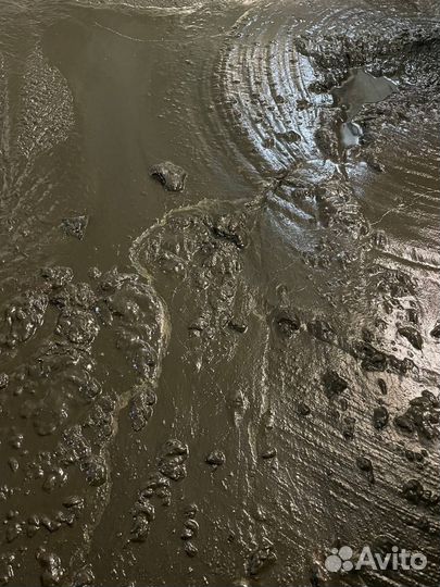 Сапропель пастообразный