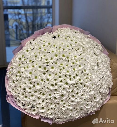 Ромашки, цветы для мамы,хризантема