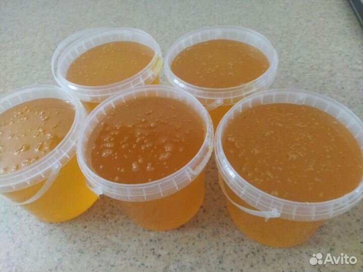 Мед свежий 2023