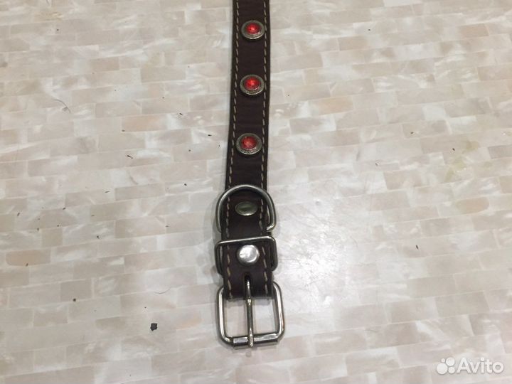 Ношейник Кожа 46. 3см Отл смотр