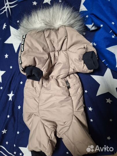 Продам комбинезон для маленьких пород собак