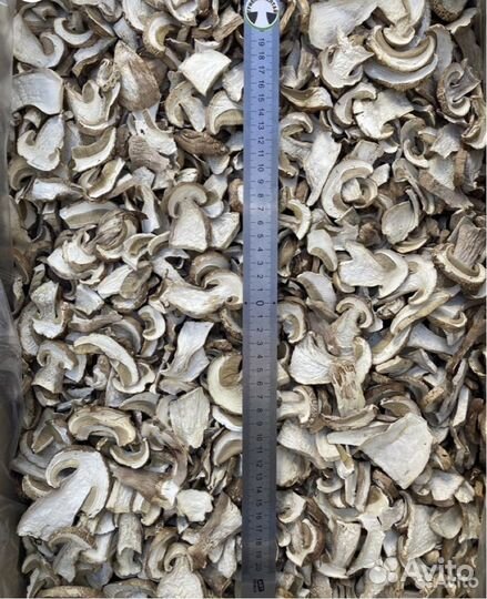 Грибы белые сушенные