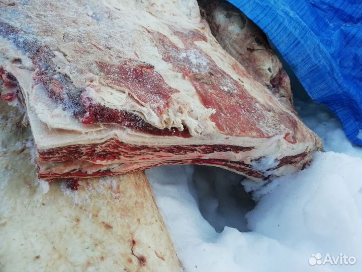 Мясо говядина для собак