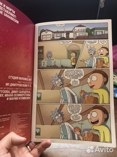 Мясные занавески Рик и Морти комикс