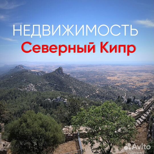 Риелтор недвижимости за рубежом