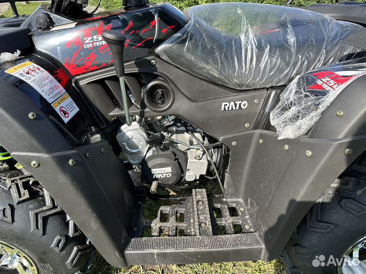 Квадроцикл 250 кубов rato premium