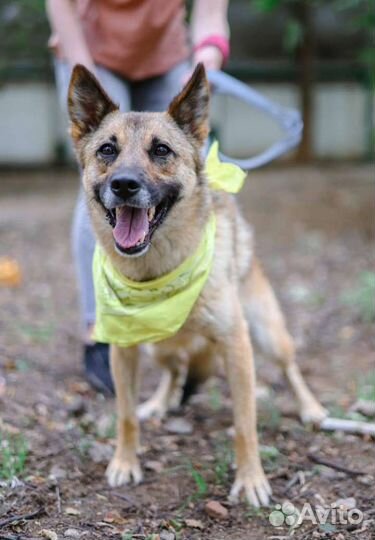 Ларочка в поиске родителей