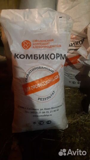 Продам мясо говядина