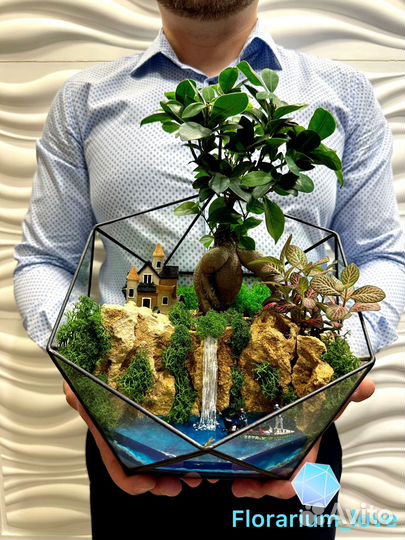 Флорариумы и моссариумы
