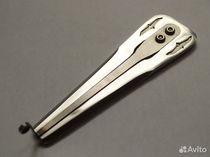 Варган Д. Глазырина /Буревестник жесткий в футляре